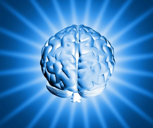 Rejuvenecer el cerebro