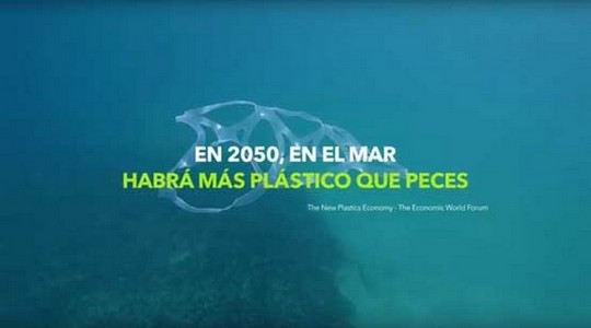 Por un Mundo Sostenible, sin plásticos en nuestros mares