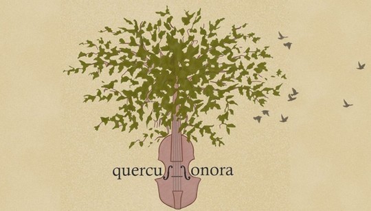 Quercus Sonora